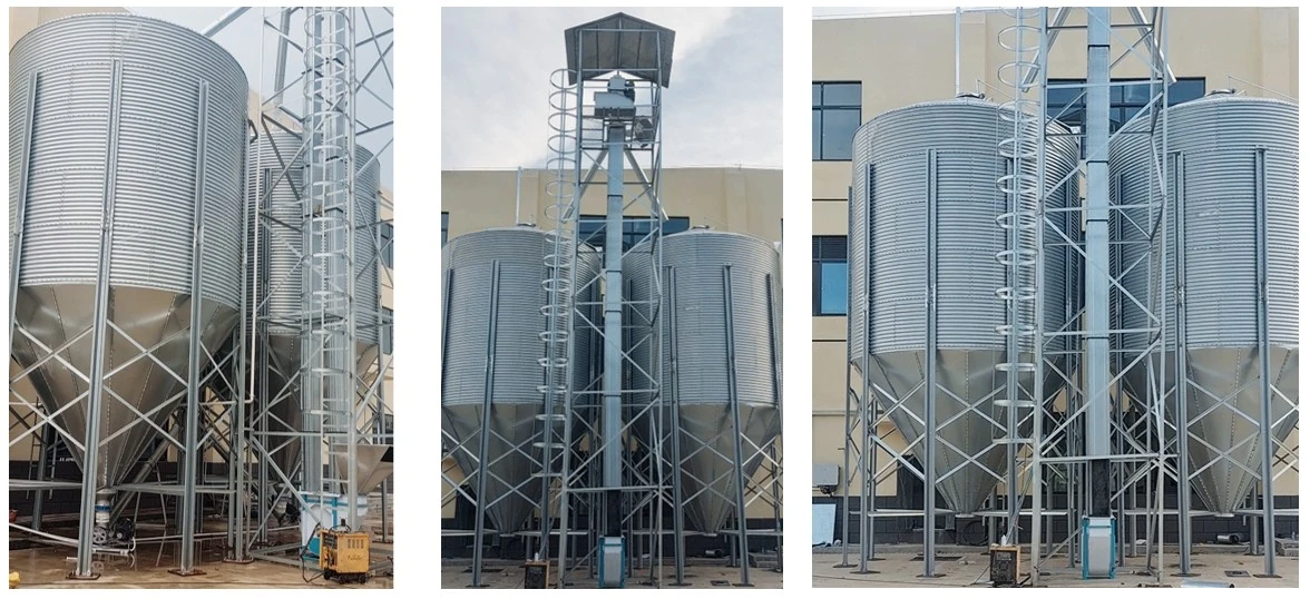 Two 70-ton rice silos have been put into use in Hainan